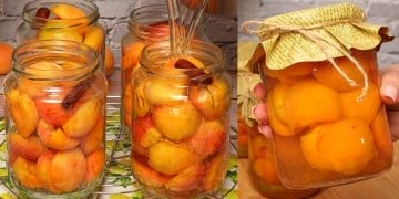 Compot de caise